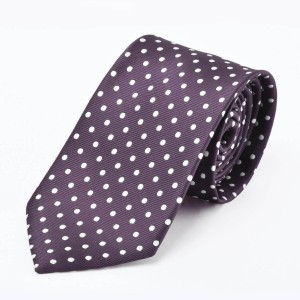 Disley Spot Tie